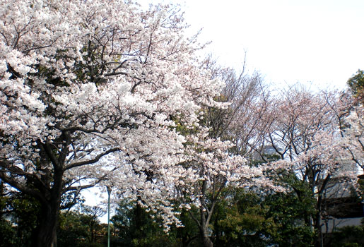 Photo090405